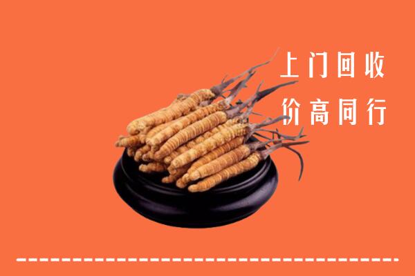 高价求购：黄石回收散虫草