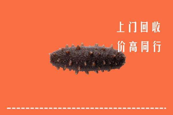 黄石回收海参