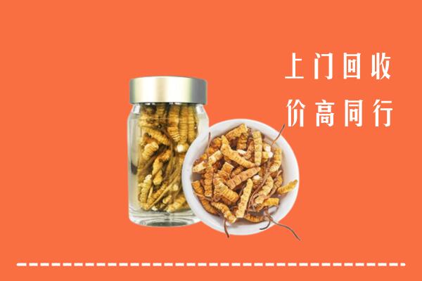 黄石回收冬虫夏草