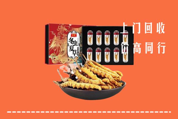 黄石回收虫草